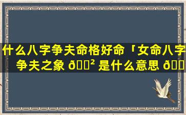 什么八字争夫命格好命「女命八字争夫之象 🌲 是什么意思 🐵 」